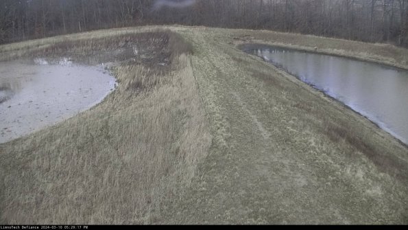 Cell 4 to Basin_24-03-10_17-29-18-15