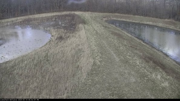 Cell 4 to Basin_24-03-10_18-02-48-13