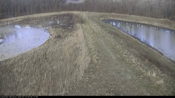 Cell 4 to Basin_24-03-10_18-36-18-14