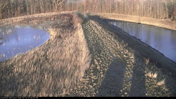 Cell 4 to Basin_24-03-10_19-09-47-16