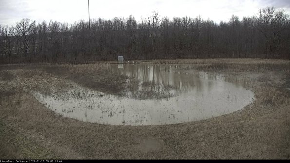 Cell 4_24-03-10_09-06-26-14