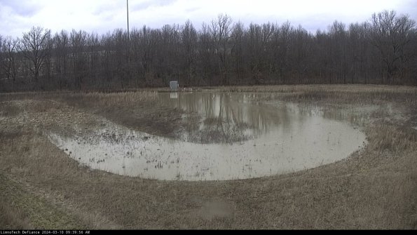 Cell 4_24-03-10_09-39-57-15