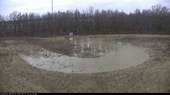 Cell 4_24-03-10_10-13-26-13