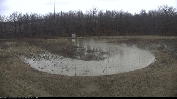 Cell 4_24-03-10_13-00-55-13