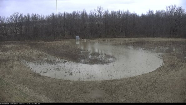 Cell 4_24-03-10_14-07-54-13