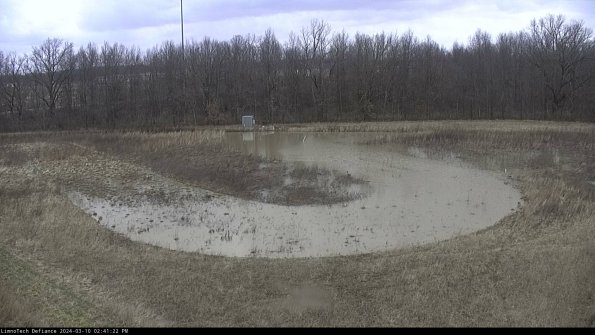 Cell 4_24-03-10_14-41-23-11