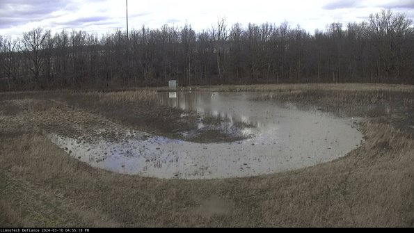 Cell 4_24-03-10_16-55-19-13