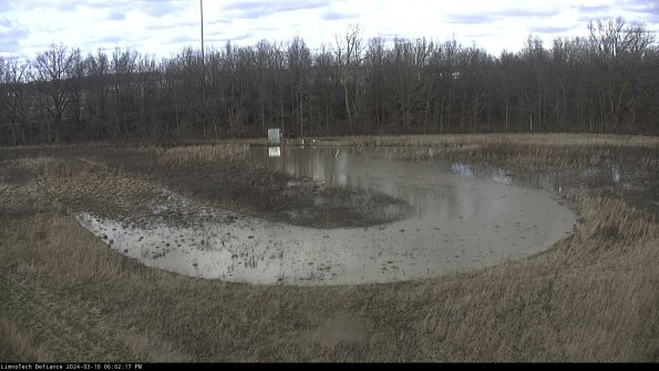 Cell 4_24-03-10_18-02-18-13