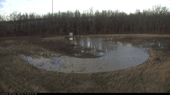 Cell 4_24-03-10_18-35-48-15