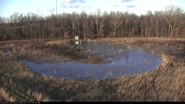 Cell 4_24-03-10_19-09-17-13