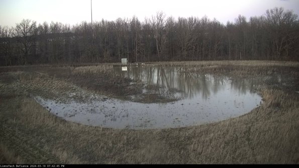 Cell 4_24-03-10_19-42-46-14