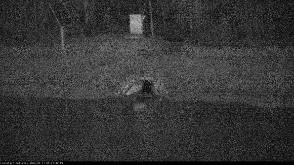 Basin Inflow_24-03-11_20-17-41-34