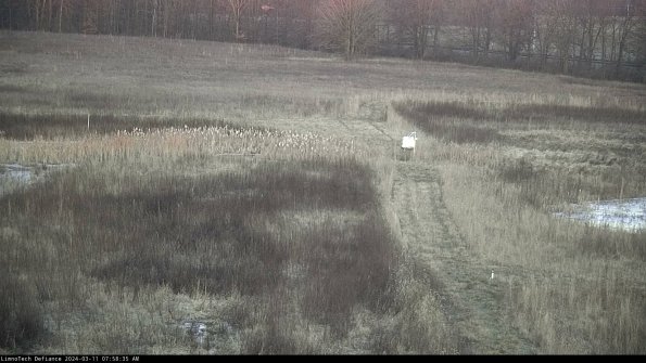 Cell 1 to 2_24-03-11_07-58-36-14