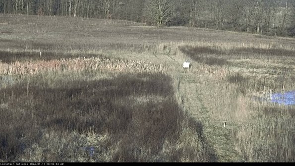 Cell 1 to 2_24-03-11_08-32-05-12