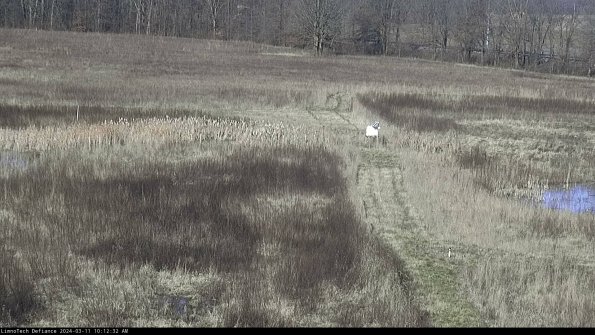 Cell 1 to 2_24-03-11_10-12-33-13