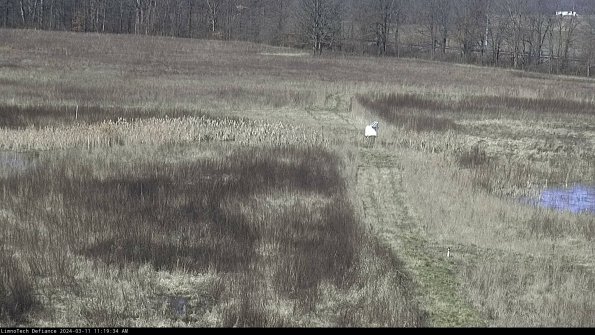 Cell 1 to 2_24-03-11_11-19-35-13