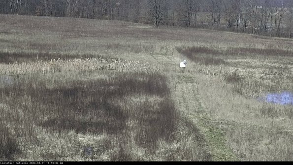 Cell 1 to 2_24-03-11_11-53-05-12