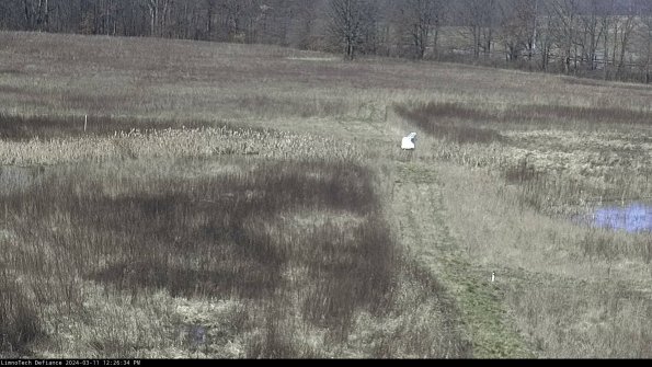 Cell 1 to 2_24-03-11_12-26-35-14