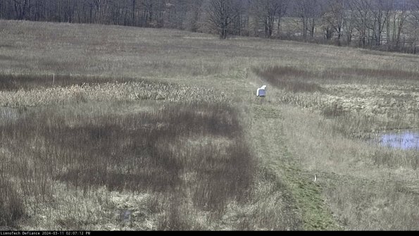 Cell 1 to 2_24-03-11_14-07-13-13