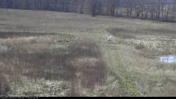 Cell 1 to 2_24-03-11_15-47-41-12