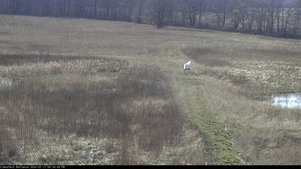 Cell 1 to 2_24-03-11_16-54-41-13