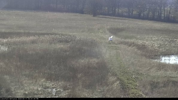 Cell 1 to 2_24-03-11_18-01-40-14