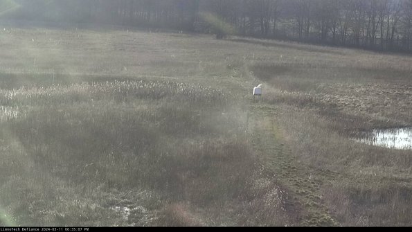 Cell 1 to 2_24-03-11_18-35-08-16