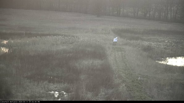 Cell 1 to 2_24-03-11_19-42-06-13