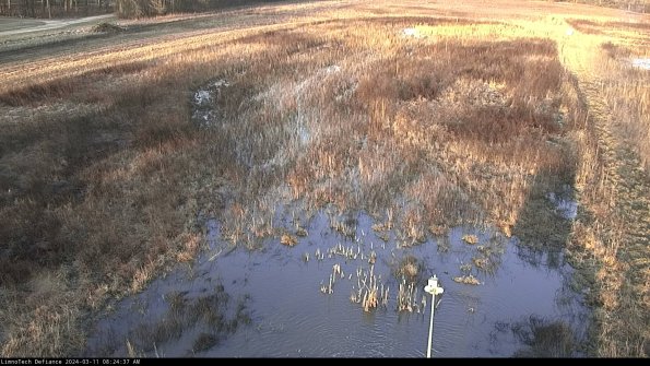 Cell 1_24-03-11_08-24-38-14