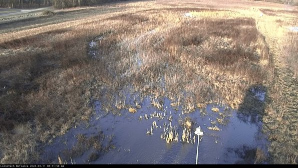 Cell 1_24-03-11_08-31-51-14