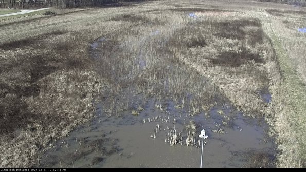 Cell 1_24-03-11_10-12-19-12