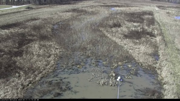 Cell 1_24-03-11_11-19-21-12