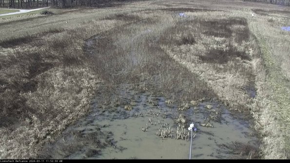 Cell 1_24-03-11_11-52-51-14