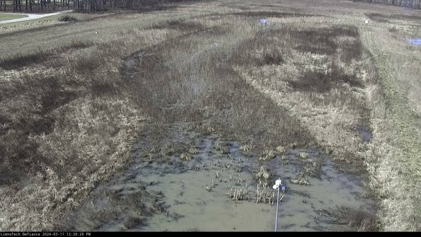 Cell 1_24-03-11_12-26-21-12