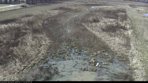 Cell 1_24-03-11_14-06-59-15