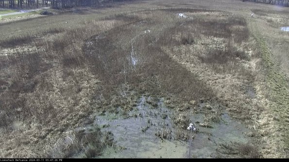 Cell 1_24-03-11_15-47-27-14