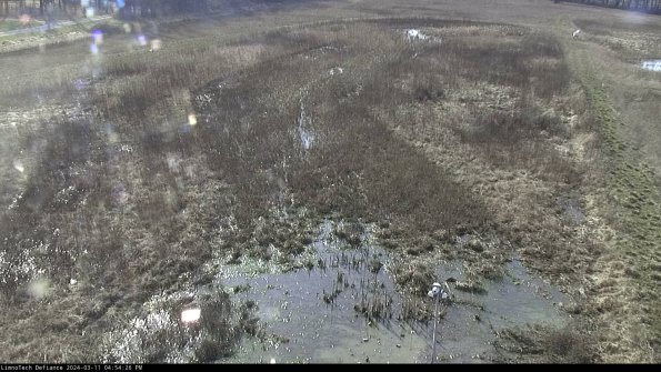 Cell 1_24-03-11_16-54-27-15