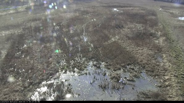 Cell 1_24-03-11_17-27-56-14