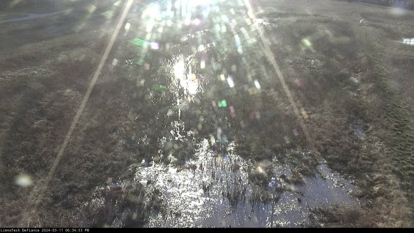 Cell 1_24-03-11_18-34-54-14