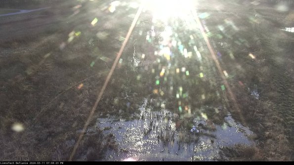 Cell 1_24-03-11_19-08-24-13