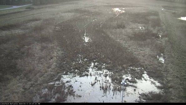 Cell 1_24-03-11_19-41-52-15