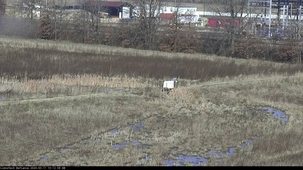 Cell 2 to 3_24-03-11_10-12-59-29