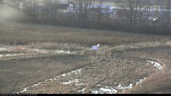 Cell 2 to 3_24-03-11_19-09-04-20