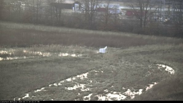 Cell 2 to 3_24-03-11_19-42-32-29