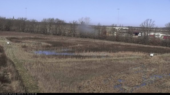 Cell 2_24-03-11_10-12-46-14