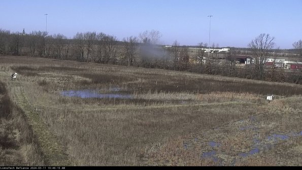 Cell 2_24-03-11_10-46-16-23