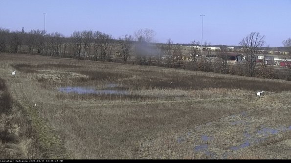 Cell 2_24-03-11_12-26-48-15