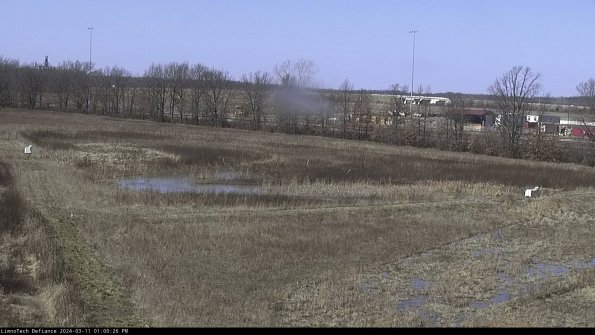 Cell 2_24-03-11_13-00-27-18