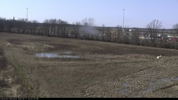 Cell 2_24-03-11_15-47-54-17