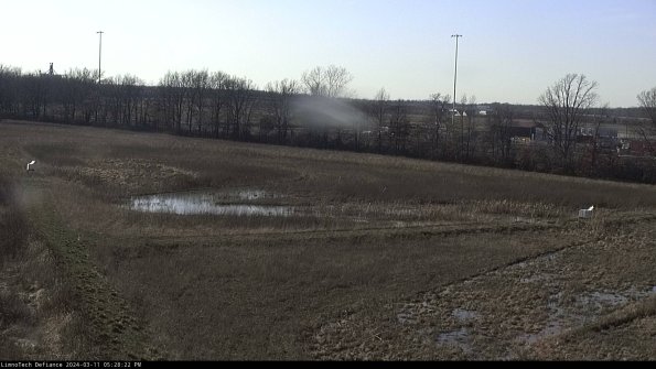 Cell 2_24-03-11_17-28-23-20